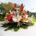 Fotogalerie: Catering #37